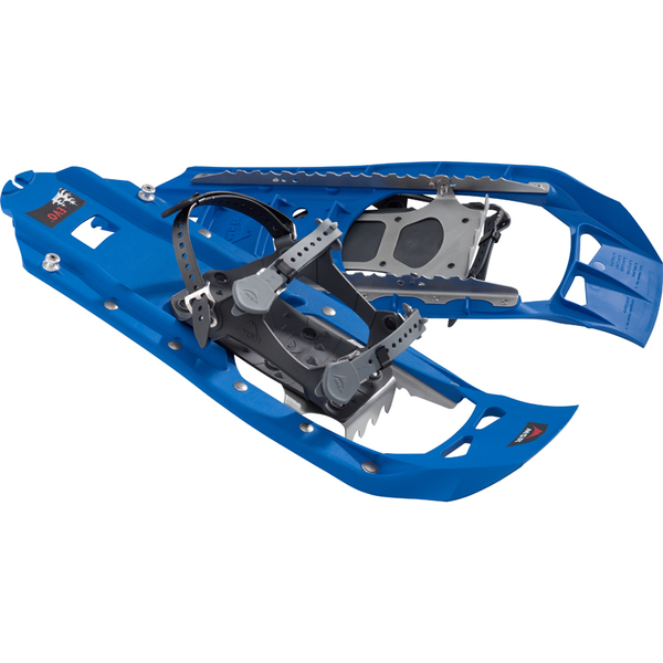 Evo 22 - 1