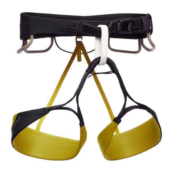 ZONE HARNESS - 1