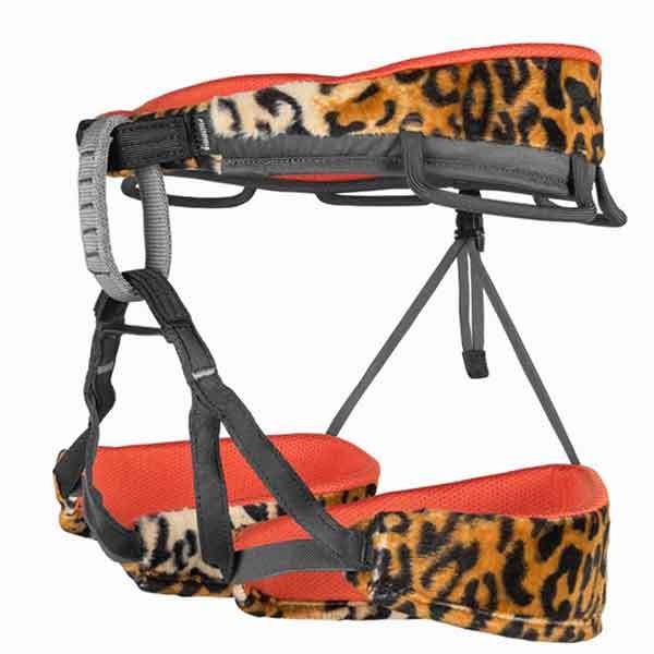 HARNESS TREND - 2